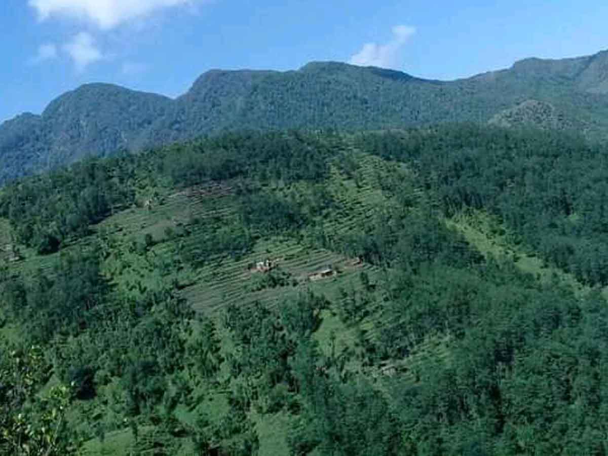 फलाम खानीको सम्भाव्यता अध्ययन गर्न भुगर्भविद्को टोली पुर्चौंडीमा